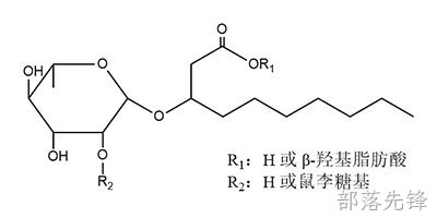 鼠李糖脂