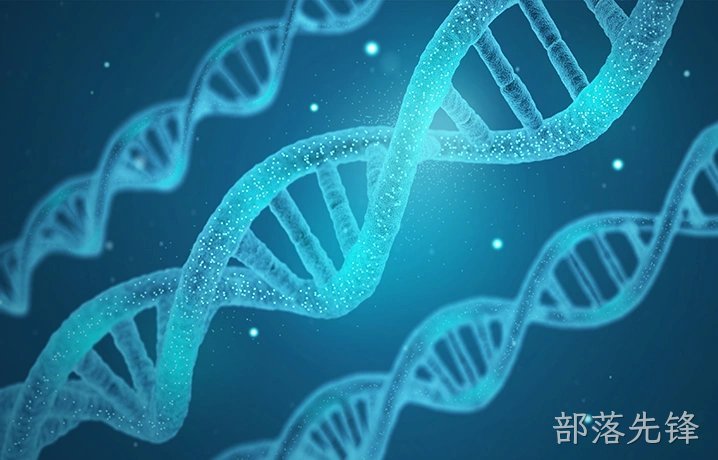 强大的成果转化能力